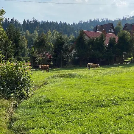 Gospodarstwo agroturystyczne U Beaty Dom Ii *