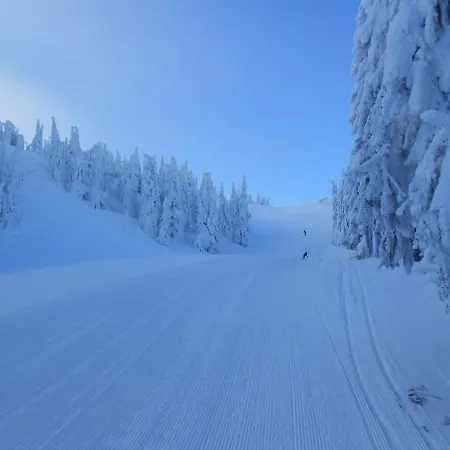 Gospodarstwo agroturystyczne U Beaty Dom Ii