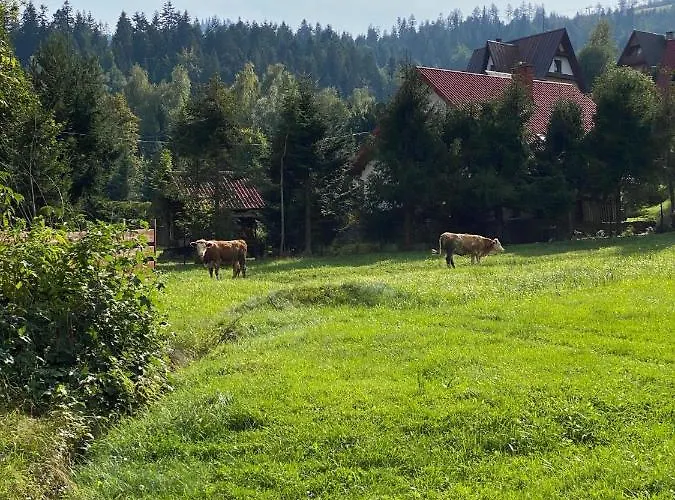 Gospodarstwo agroturystyczne U Beaty Dom Ii *