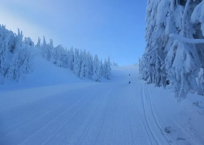 Gospodarstwo agroturystyczne U Beaty Dom Ii